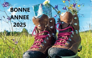 BELLE ET HEUREUSE ANNEE 2025 !