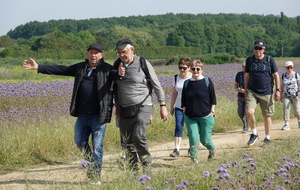 Près de 500 randonneurs à la Mache Cool Aise