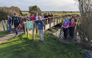 Rando du mercredi 12 novembre à Bois de Céné