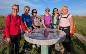 Rando du mercredi 12 novembre à Bois de Céné