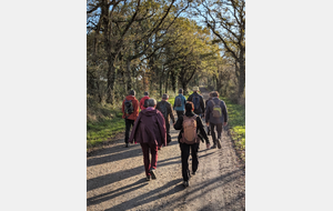 Rando du mercredi 26 novembre à St Cyr en Retz