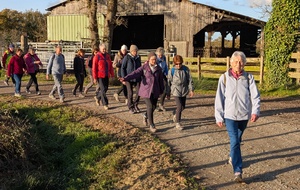 Rando du mercredi 26 novembre à St Cyr en Retz