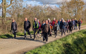 Rando du mercredi 26 novembre à St Cyr en Retz