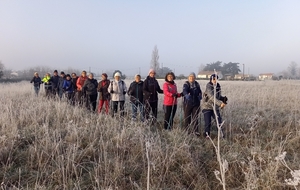 Marche nordique du samedi 3 janvier 2026, sous la brume hivernale