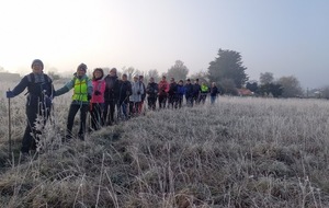 Marche nordique du samedi 3 janvier 2026, sous la brume hivernale