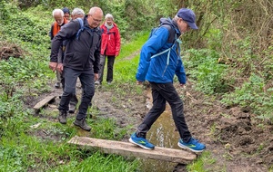 Rando à St Philbert, mercredi 1er avril