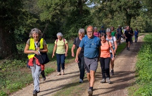 Rando du mercredi 14 octobre à Corcoué sur Logne