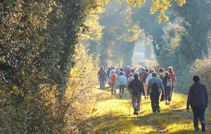 Rando D'20 Saint Philbert de Grandlieu