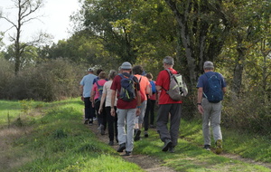 Rando D'20 : St Philbert