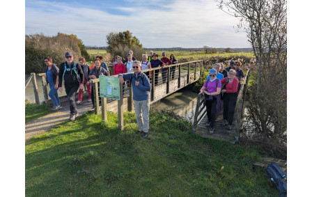 Rando du mercredi 12 novembre à Bois de Céné