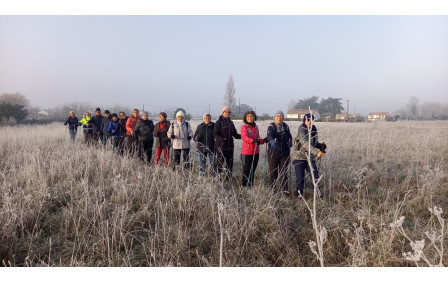 Marche nordique du samedi 3 janvier 2026, sous la brume hivernale