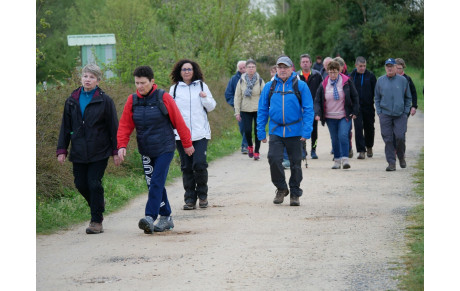 La Mache Cool Aise 2024 a rassemblé près de 600 marcheurs