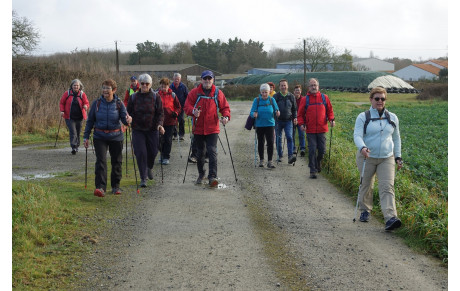 Reprise de la marche nordique