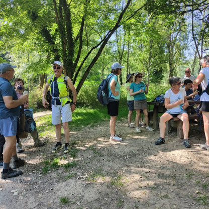 25 Goyeurs au parc de Chézine